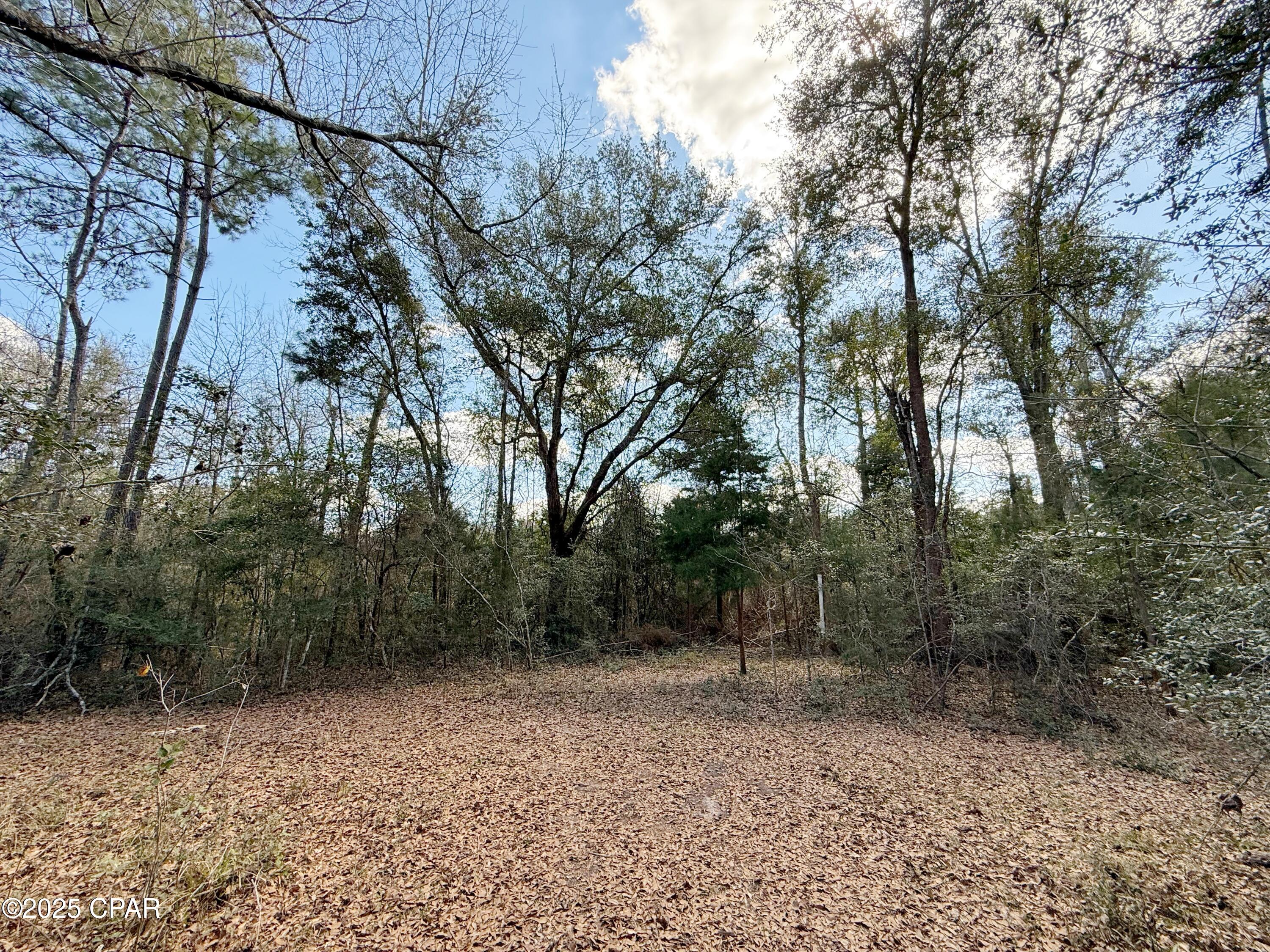 Image 11 For 00 Lovewood Road