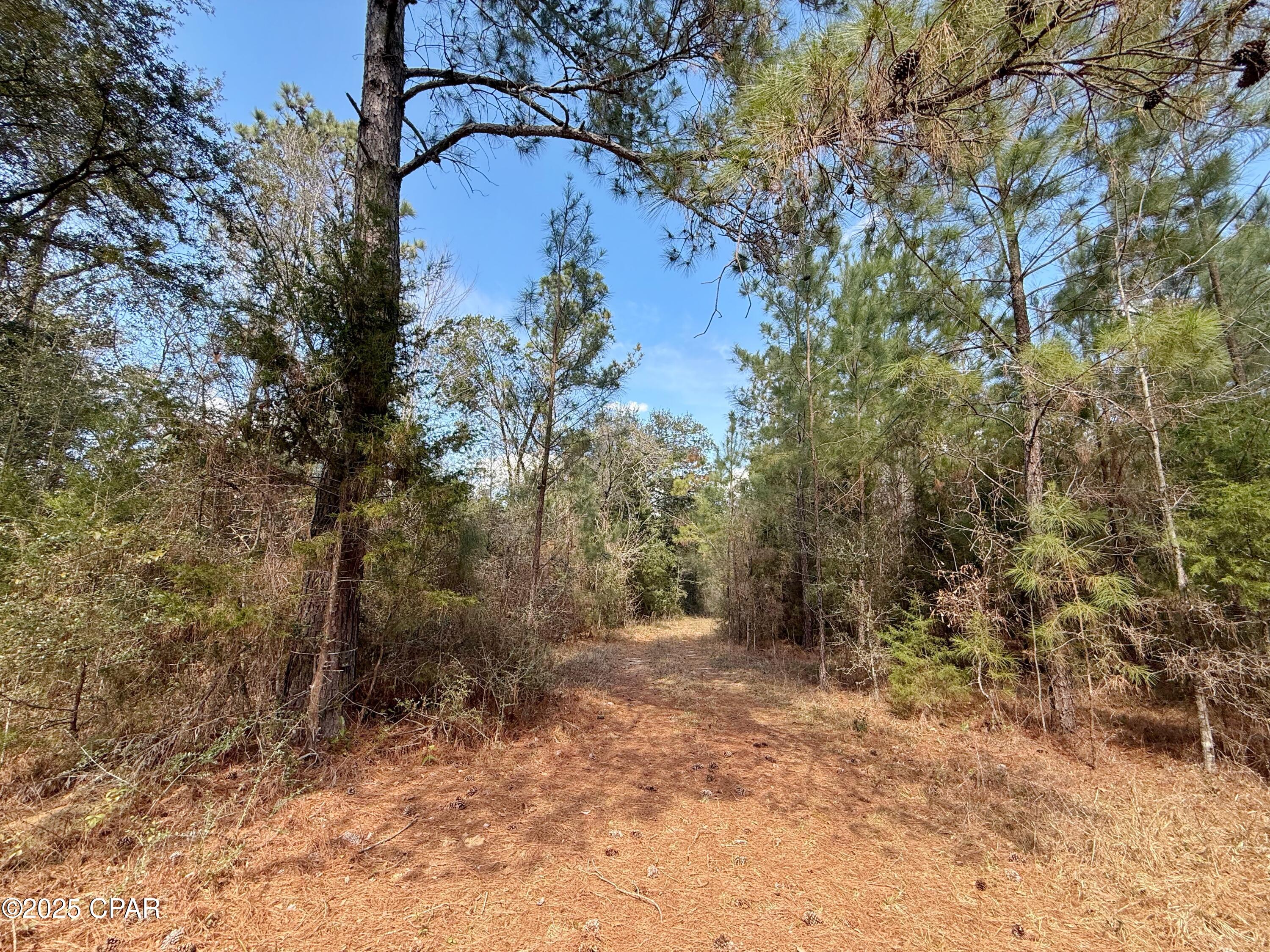 Image 12 For 00 Lovewood Road