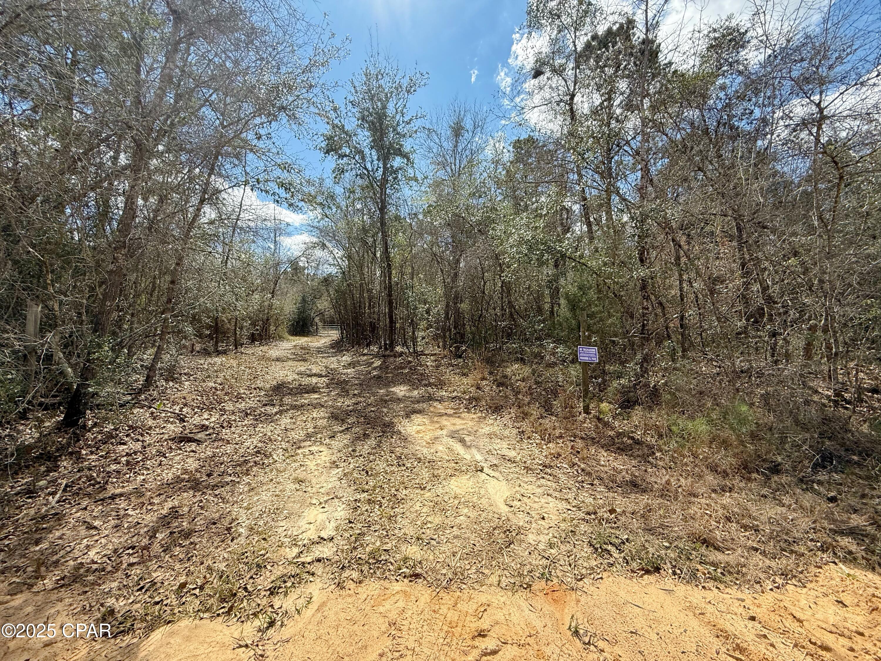 Image 3 For 00 Lovewood Road