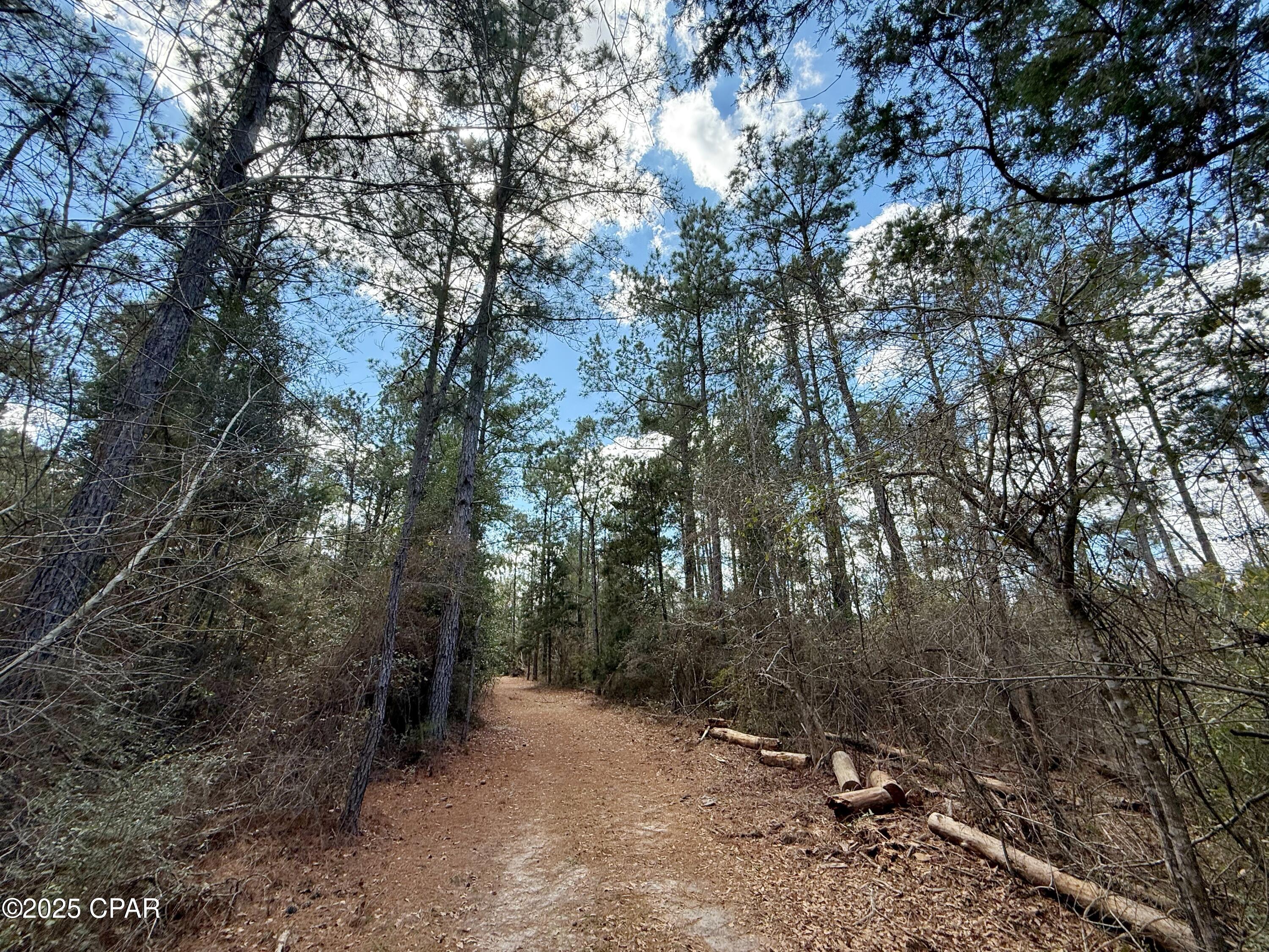 Image 5 For 00 Lovewood Road