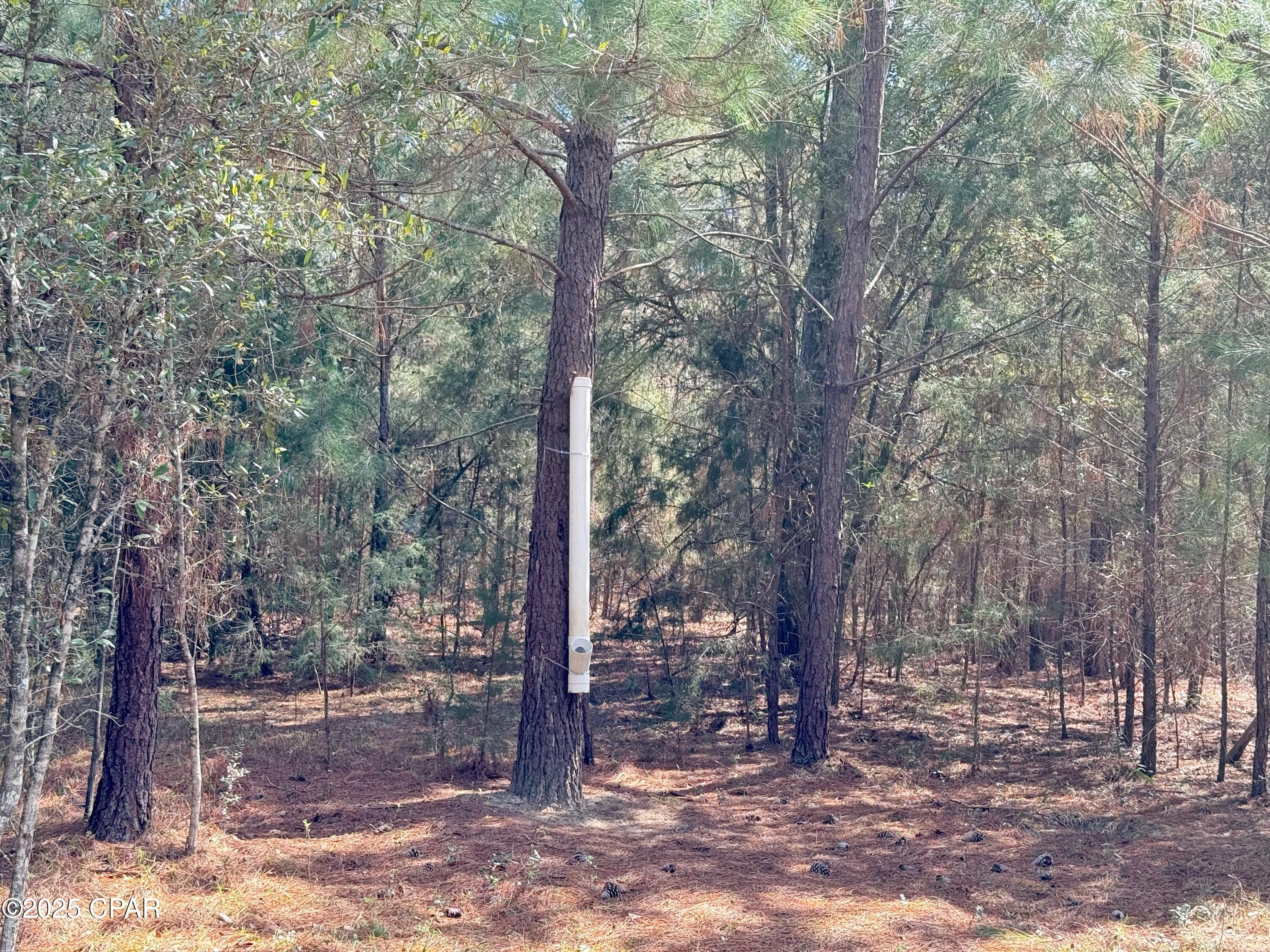 Image 6 For 00 Lovewood Road