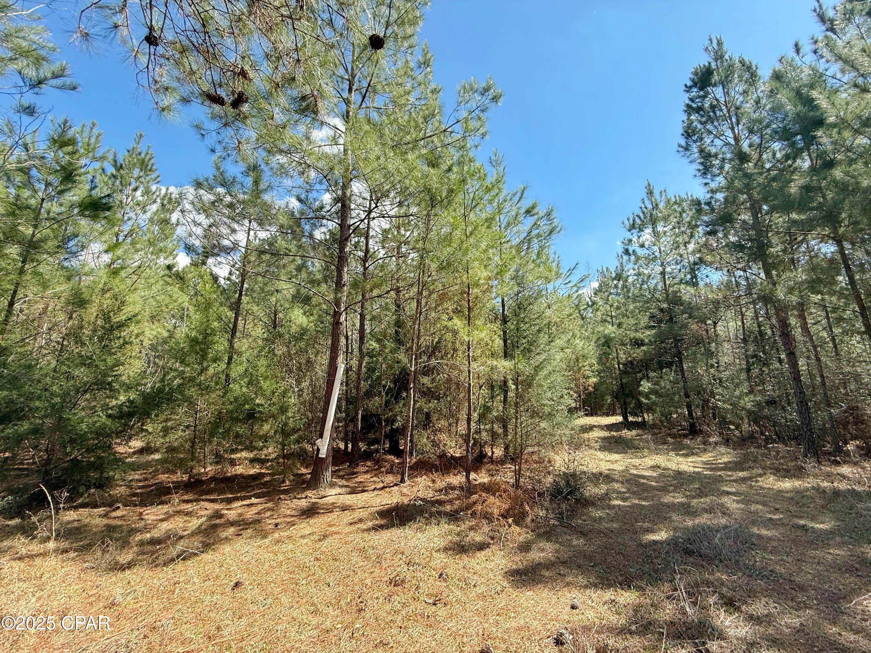 Image 7 For 00 Lovewood Road