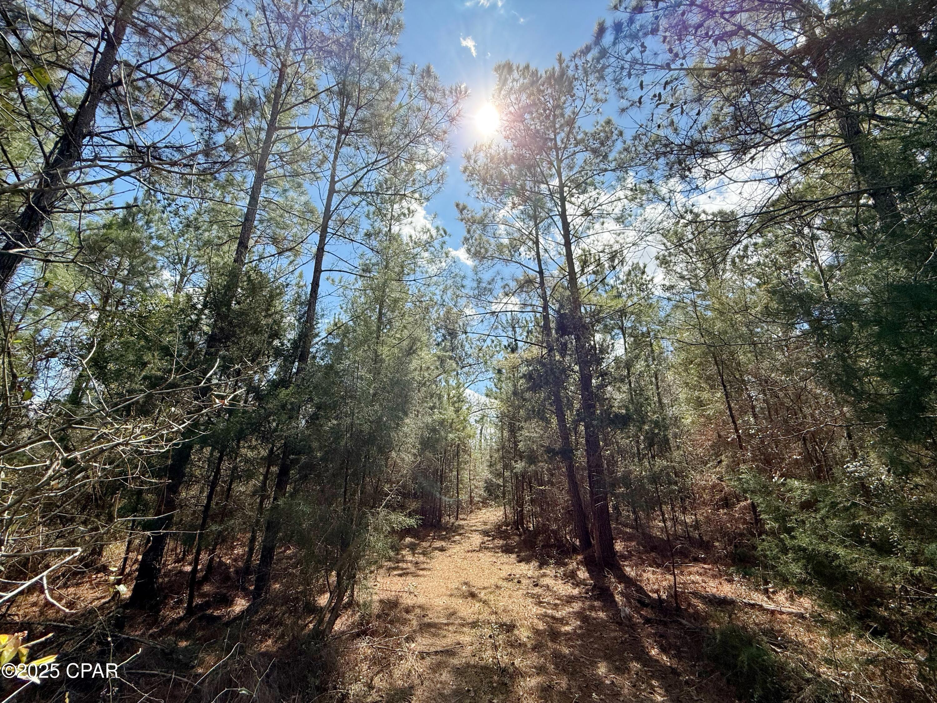 Image 8 For 00 Lovewood Road