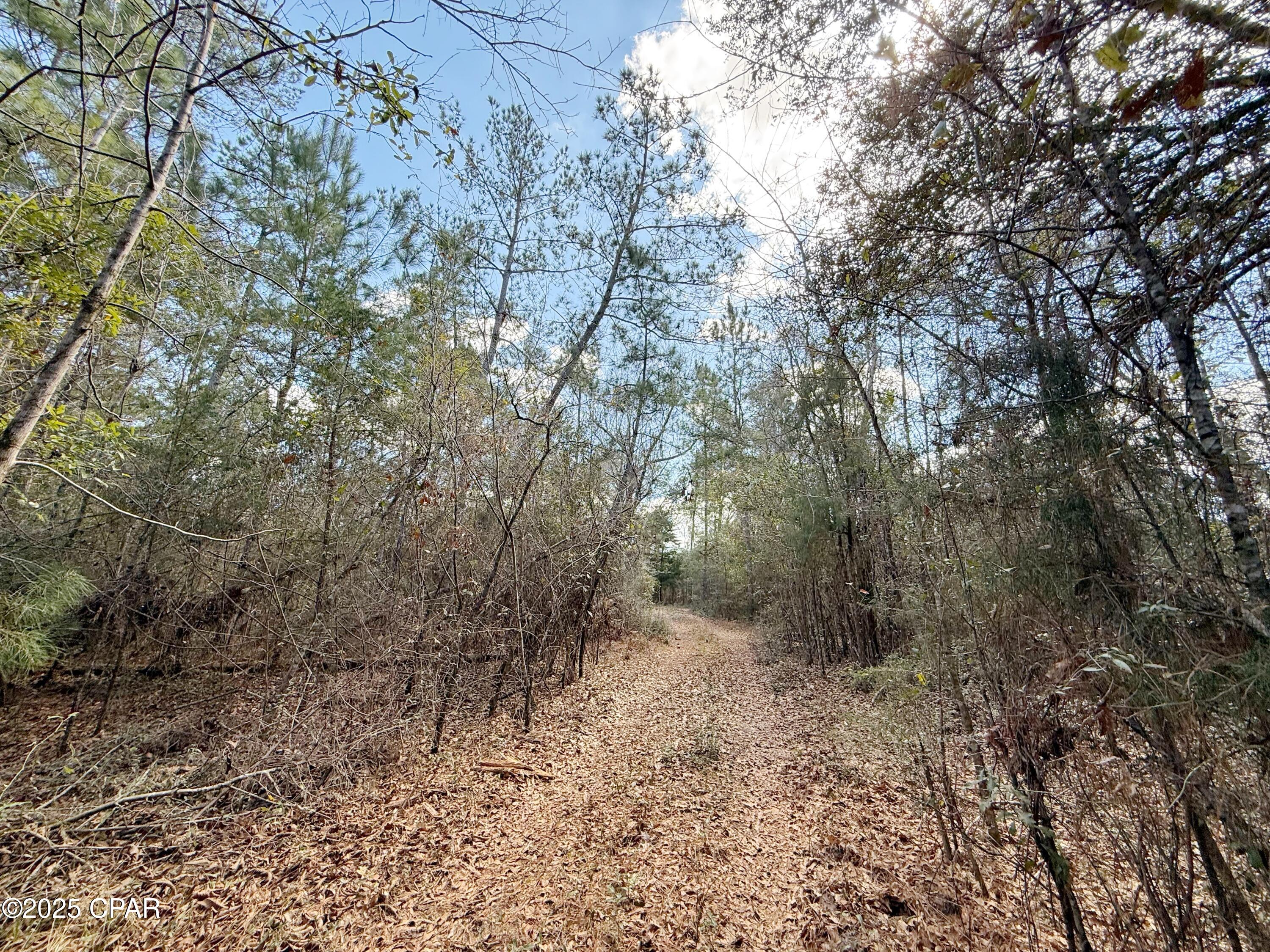 Image 9 For 00 Lovewood Road