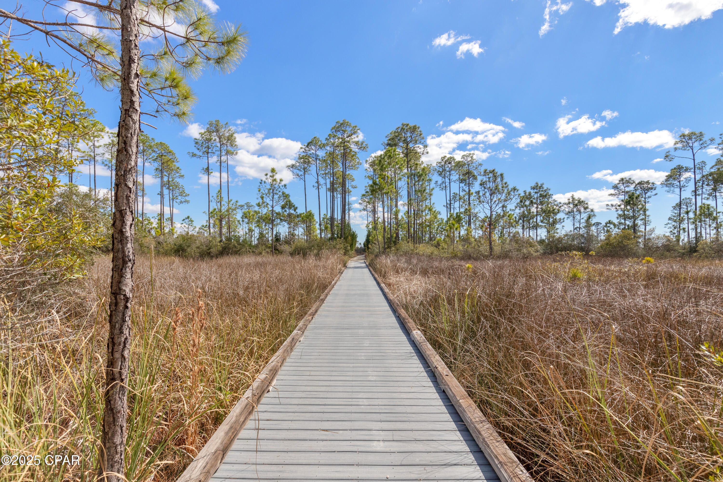 Image 38 For 6510 Sundew Marsh Trail Lot 61