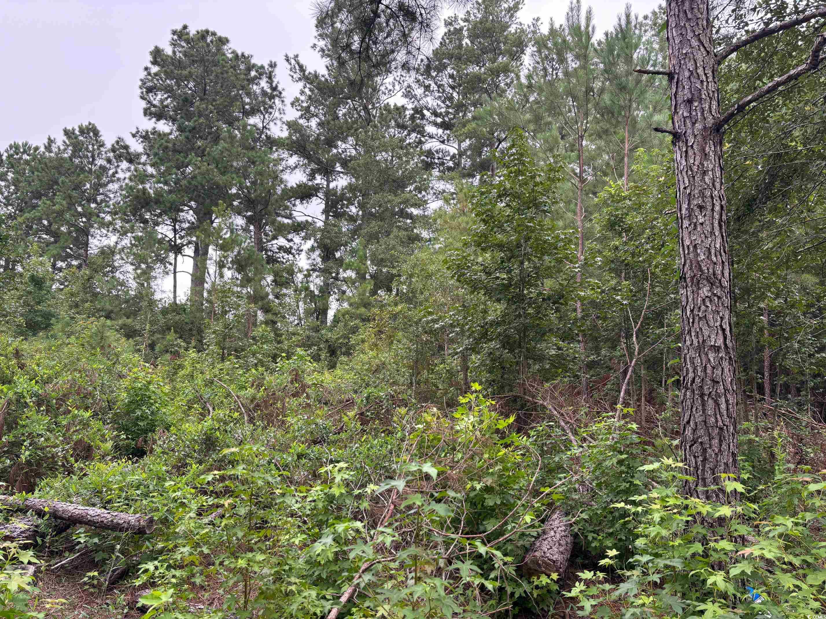 Lot 10-D McGregor St. Lake City, SC 29560