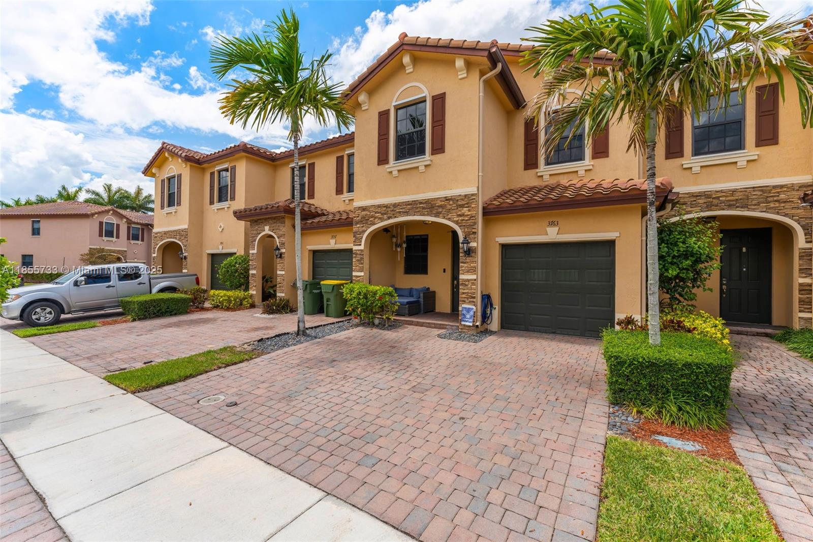 Baywinds Of Galapagos Fir