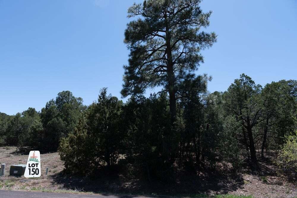 Homes for sale in Tijeras, NM | 18 Los Pecos Lp, Tijeras, NM 87059 | MLS# 1089384