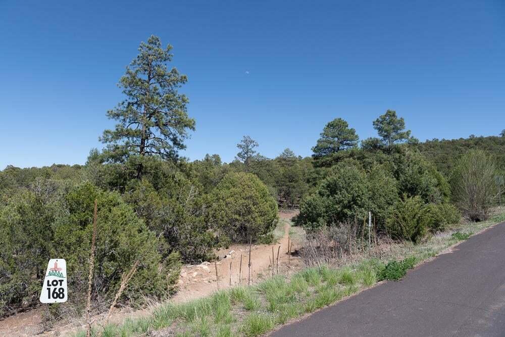 Homes for sale in Tijeras, NM | 25 Los Pecos Lp, Tijeras, NM 87059 | MLS# 1089386