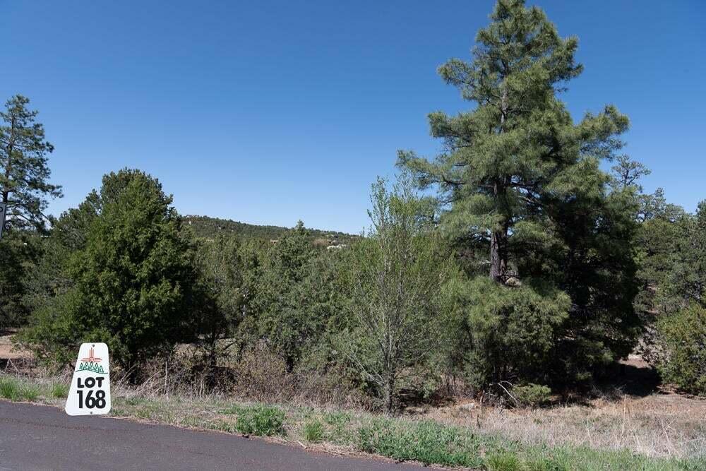 Homes for sale in Tijeras, NM | 25 Los Pecos Lp, Tijeras, NM 87059 | MLS# 1089386