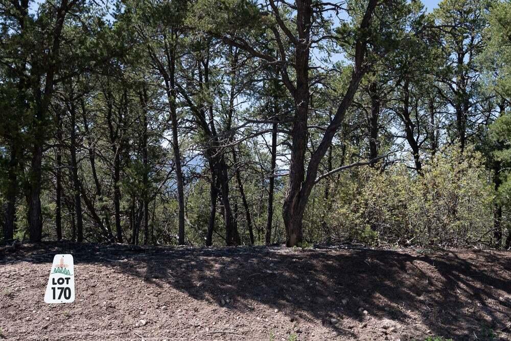 Homes for sale in Tijeras, NM | 12 Los Pecos Trl, Tijeras, NM 87059 | MLS# 1089387