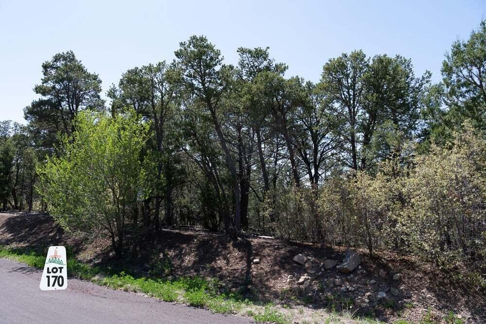 Homes for sale in Tijeras, NM | 12 Los Pecos Trl, Tijeras, NM 87059 | MLS# 1089387