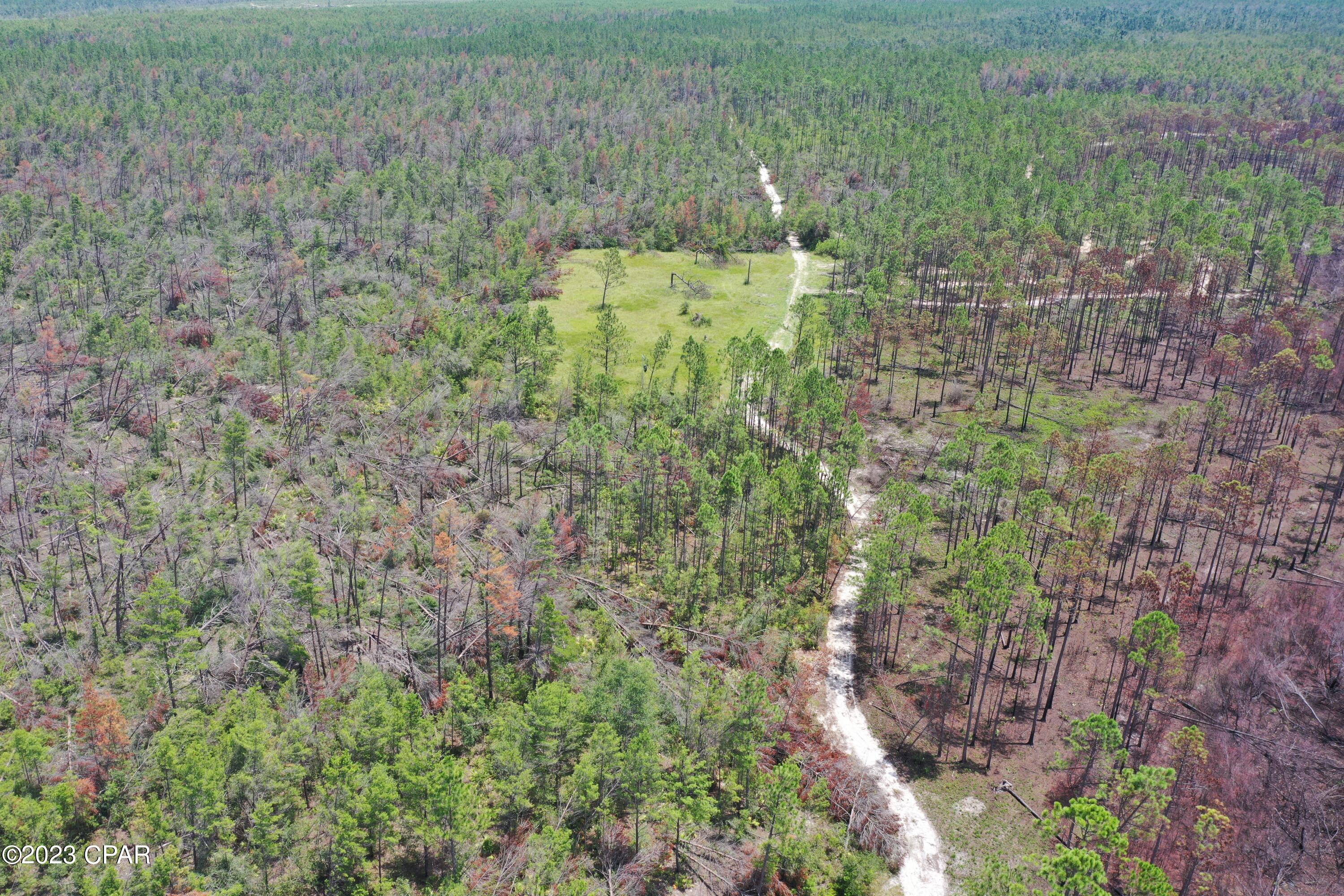 Image 10 For 19732 Timbercrest Road