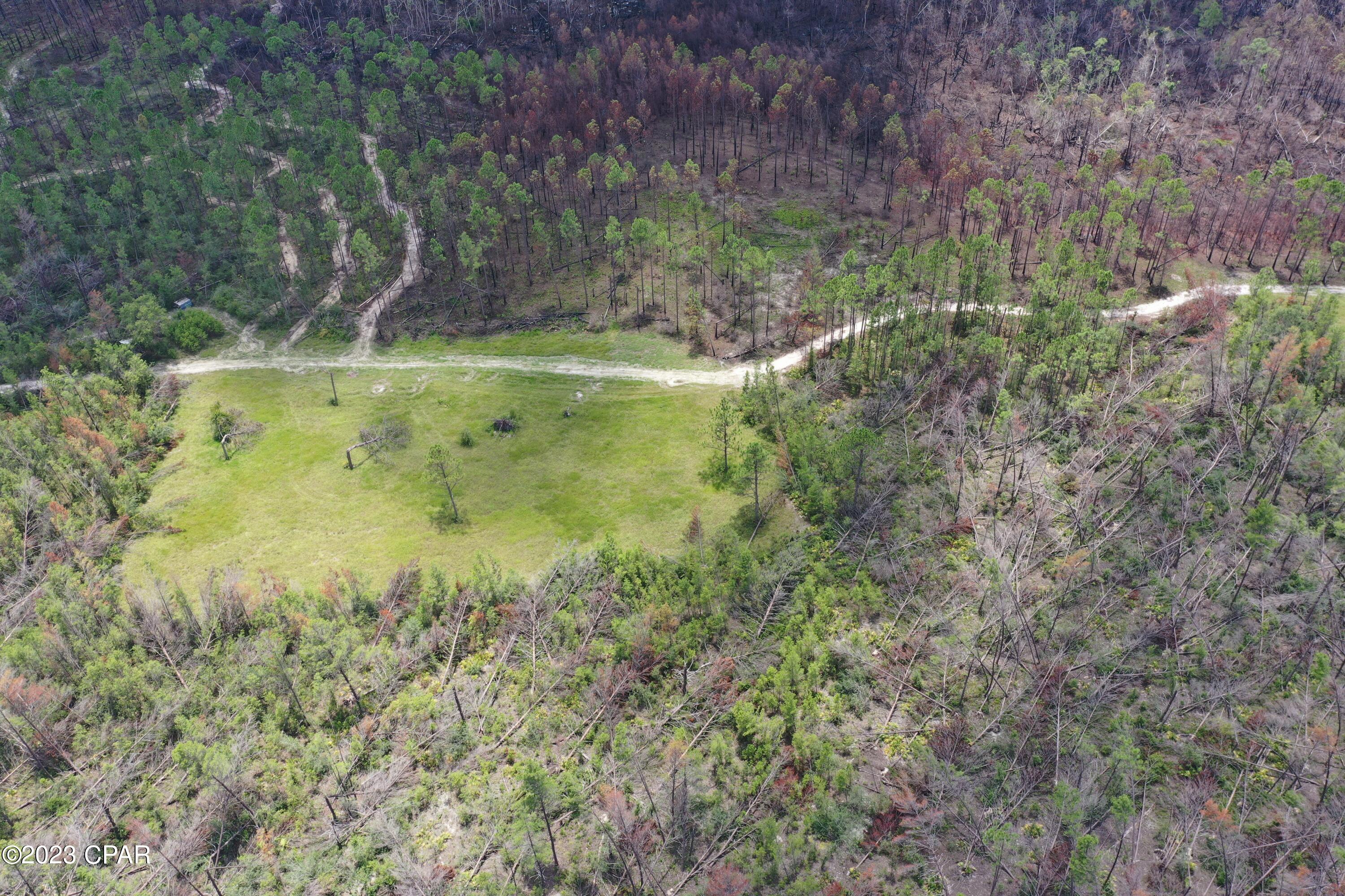 Image 11 For 19732 Timbercrest Road