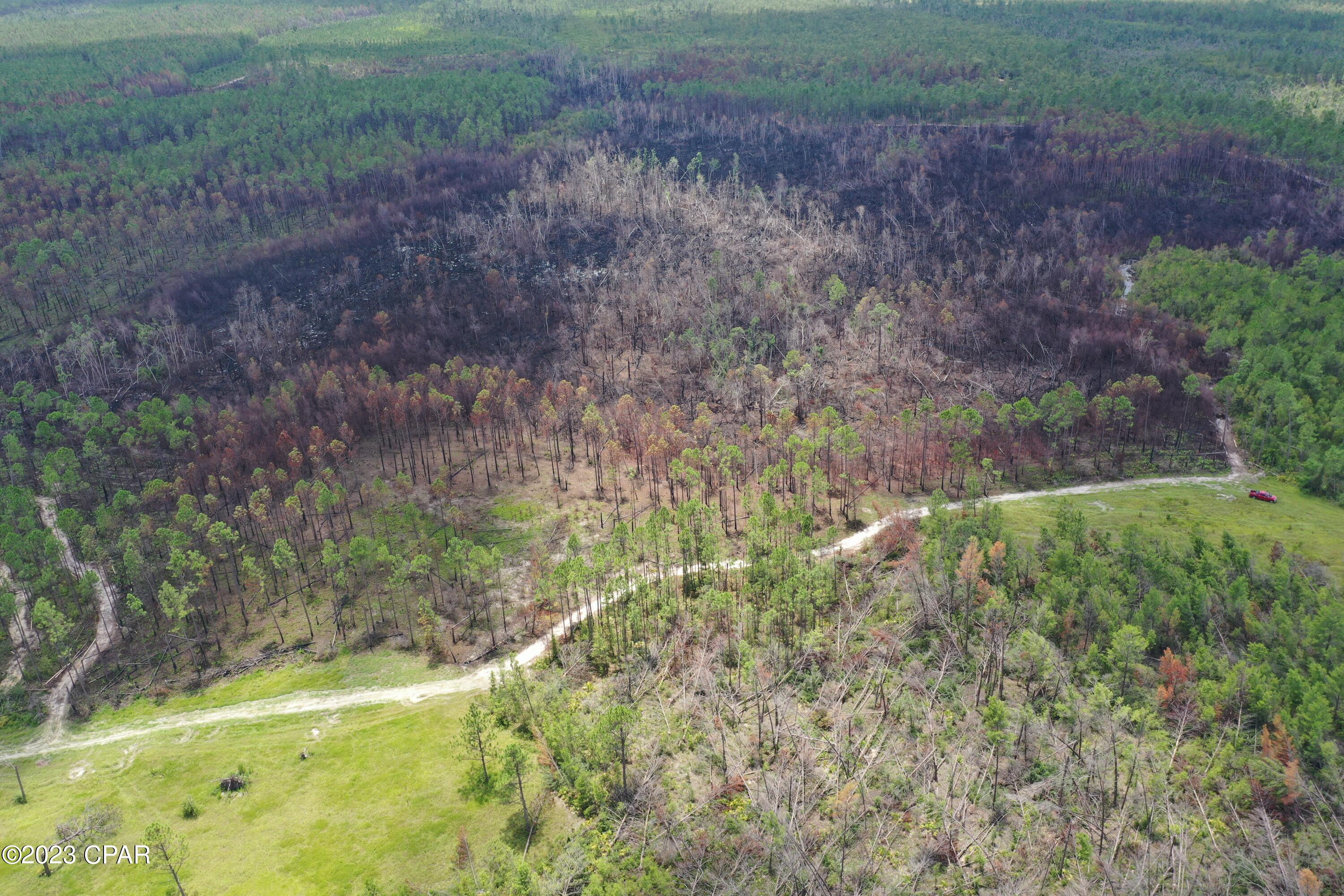 Image 13 For 19732 Timbercrest Road