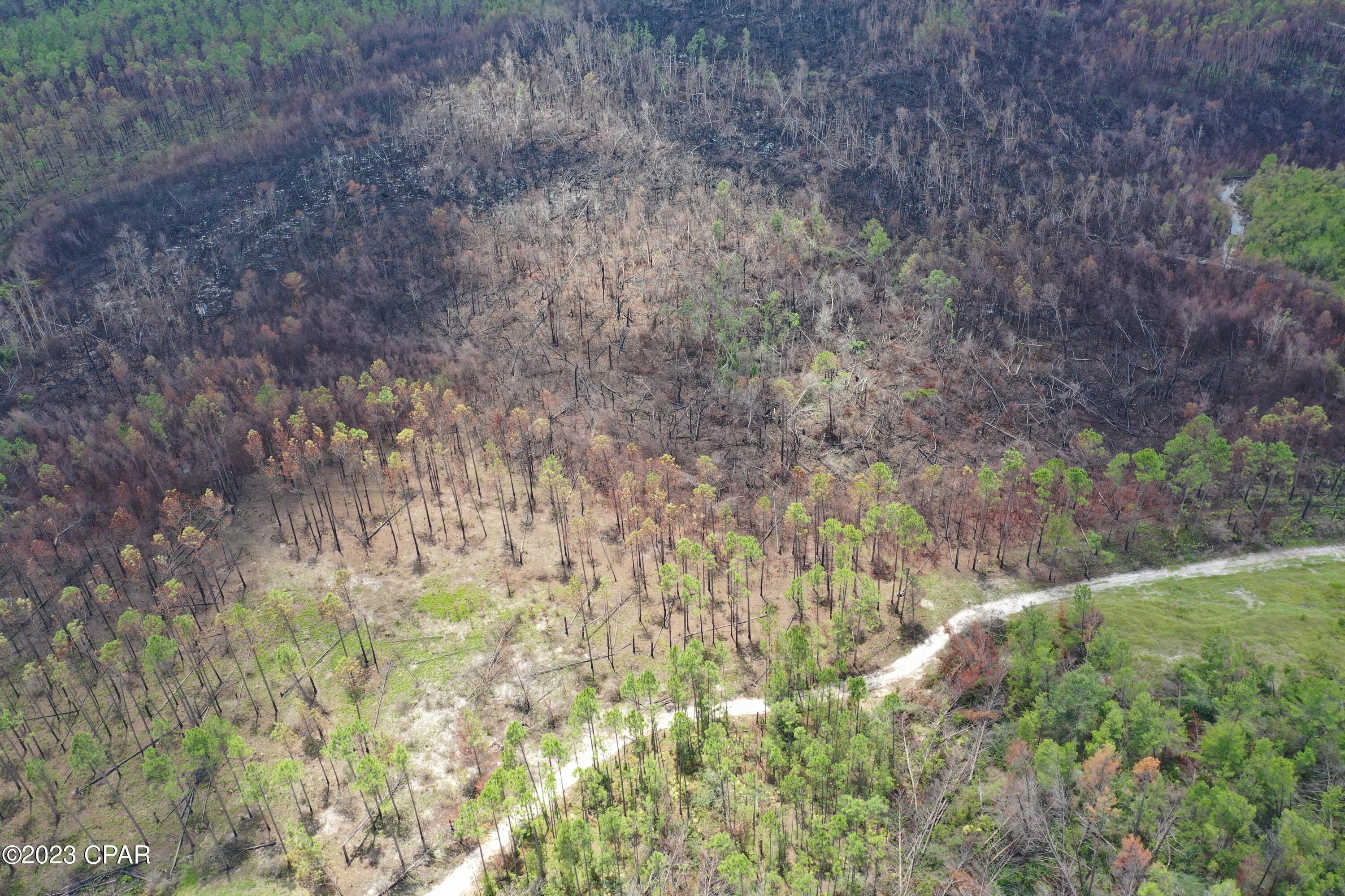 Image 14 For 19732 Timbercrest Road