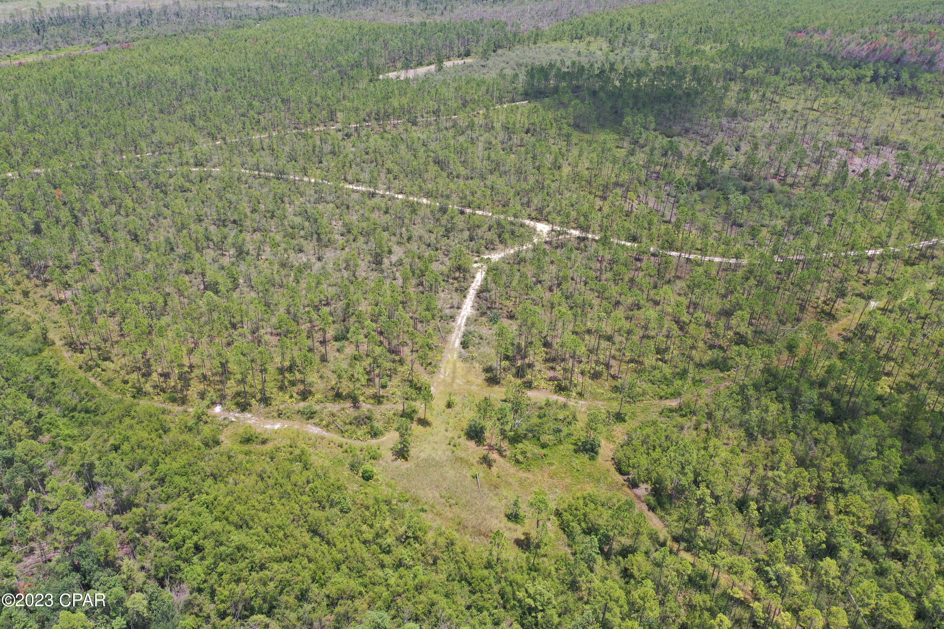 Image 15 For 19732 Timbercrest Road