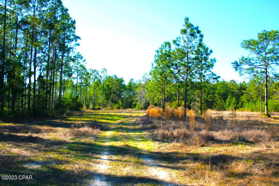 Image 16 For 19732 Timbercrest Road