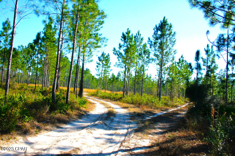 Image 17 For 19732 Timbercrest Road