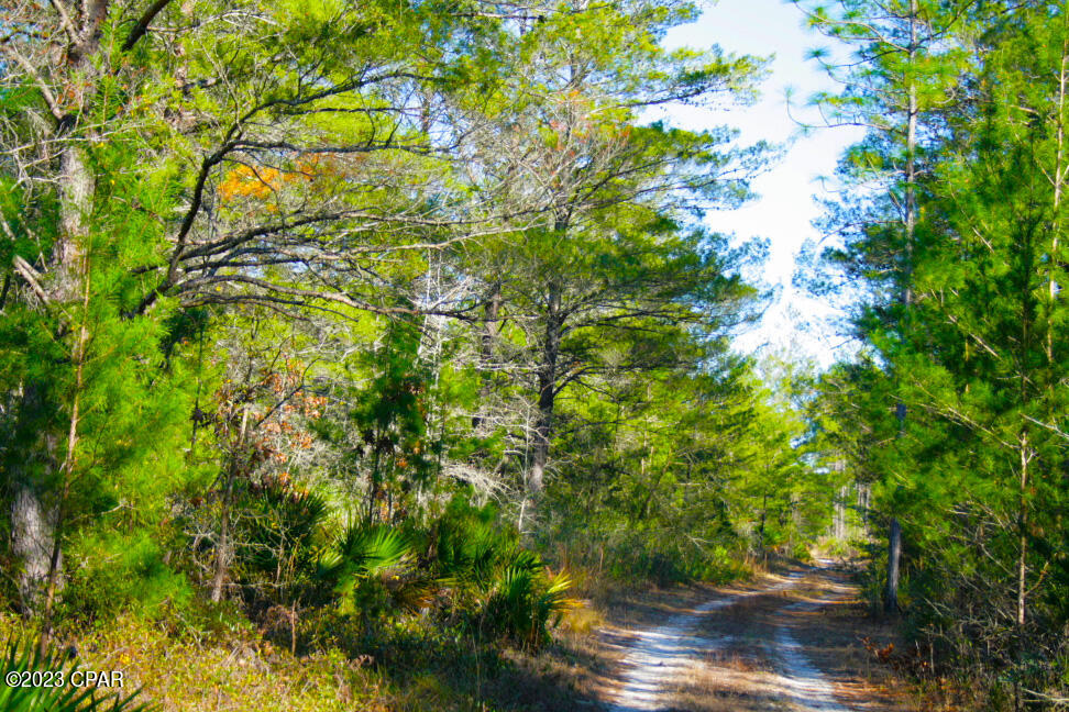 Image 18 For 19732 Timbercrest Road