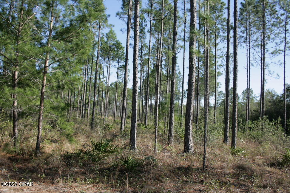 Image 19 For 19732 Timbercrest Road