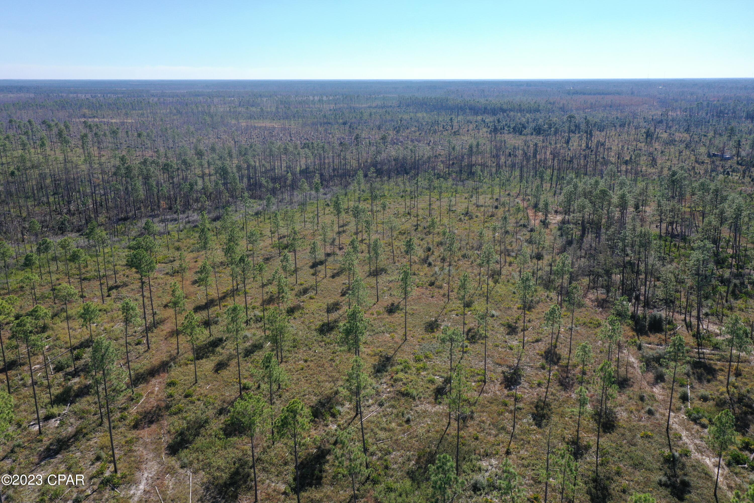 Image 2 For 19732 Timbercrest Road