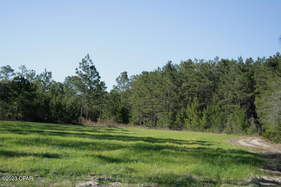 Image 21 For 19732 Timbercrest Road