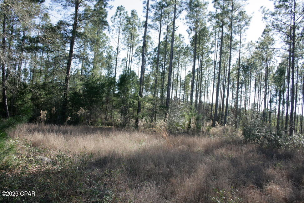 Image 23 For 19732 Timbercrest Road