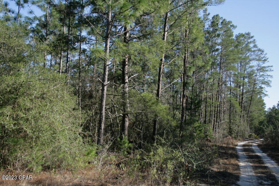 Image 27 For 19732 Timbercrest Road