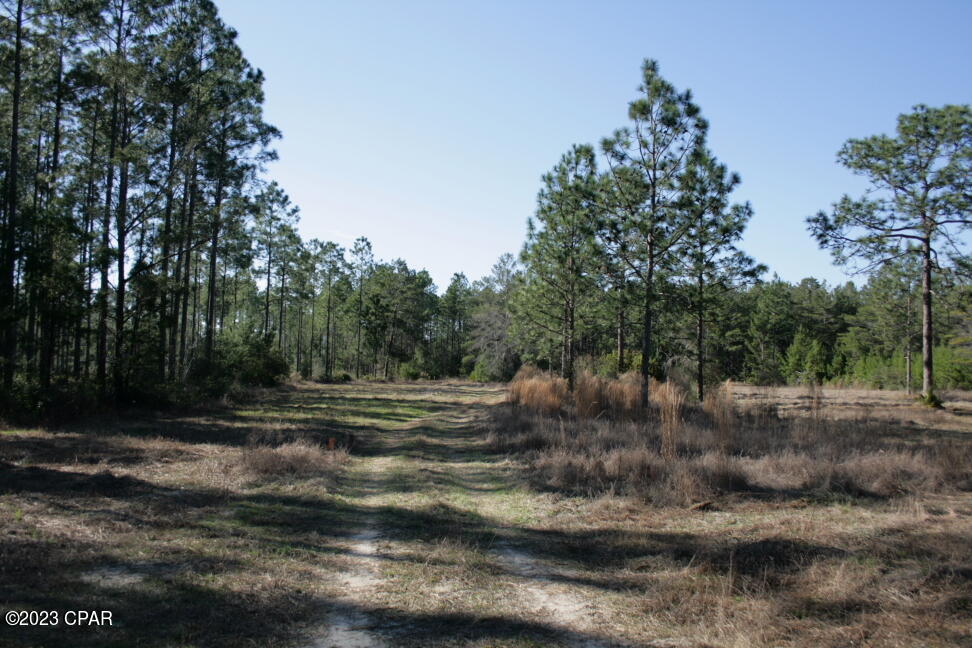 Image 28 For 19732 Timbercrest Road