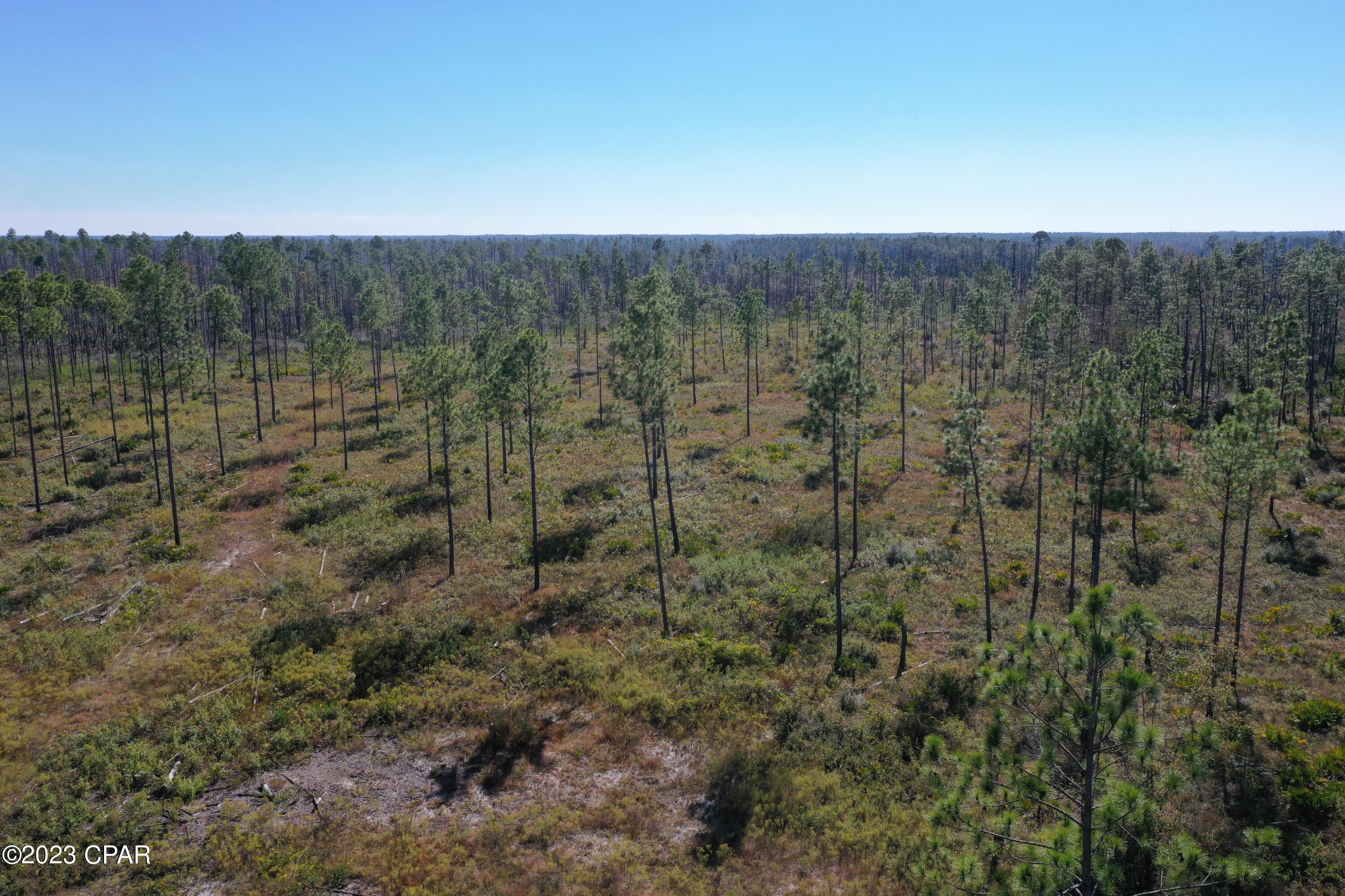 Image 3 For 19732 Timbercrest Road