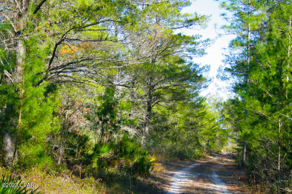 Image 30 For 19732 Timbercrest Road