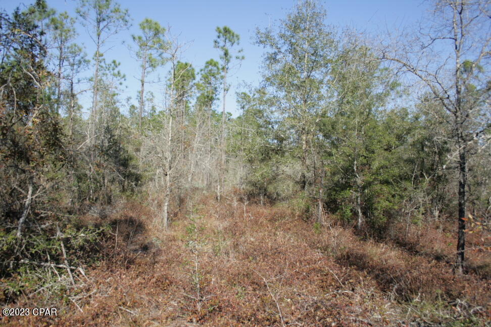 Image 33 For 19732 Timbercrest Road