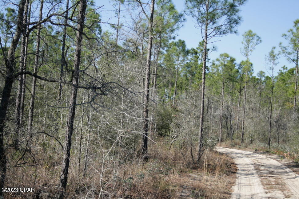 Image 34 For 19732 Timbercrest Road