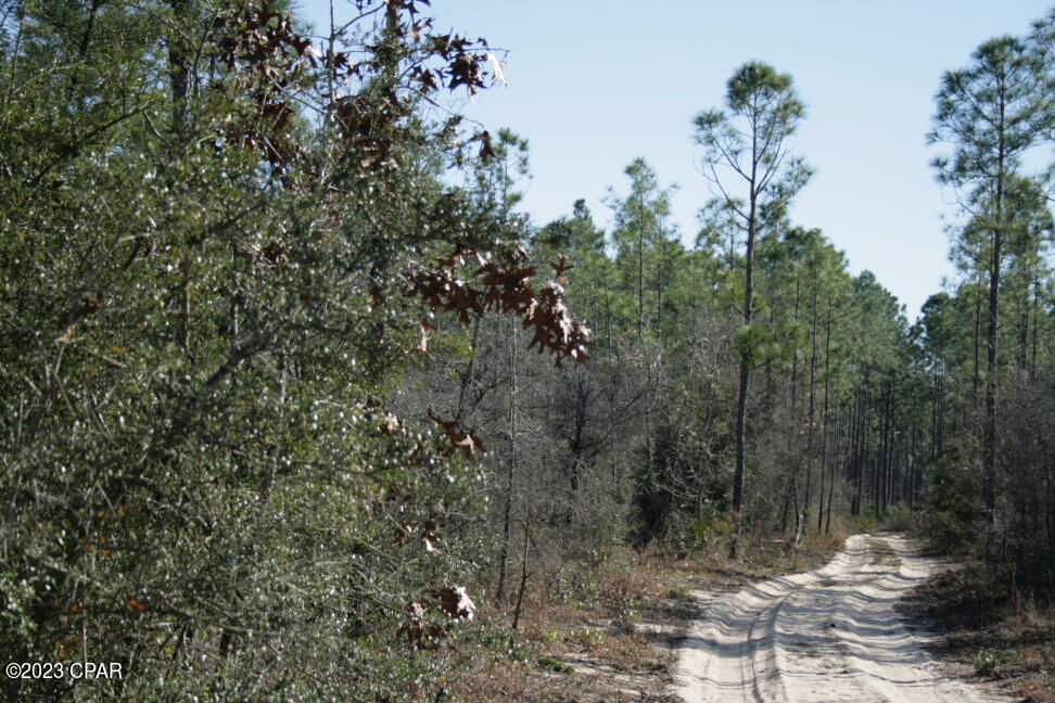 Image 35 For 19732 Timbercrest Road