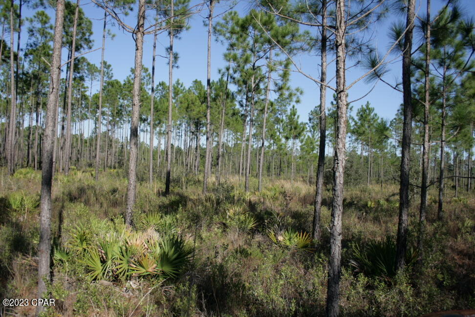 Image 36 For 19732 Timbercrest Road