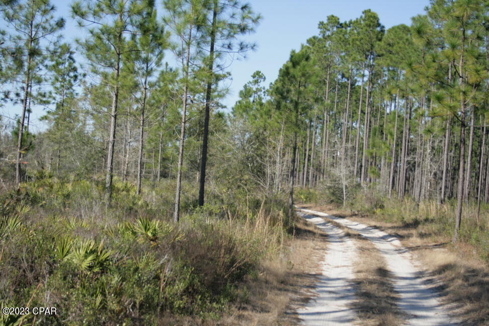 Image 37 For 19732 Timbercrest Road