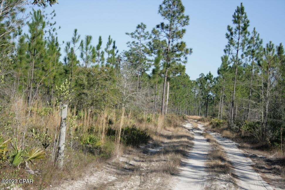 Image 38 For 19732 Timbercrest Road