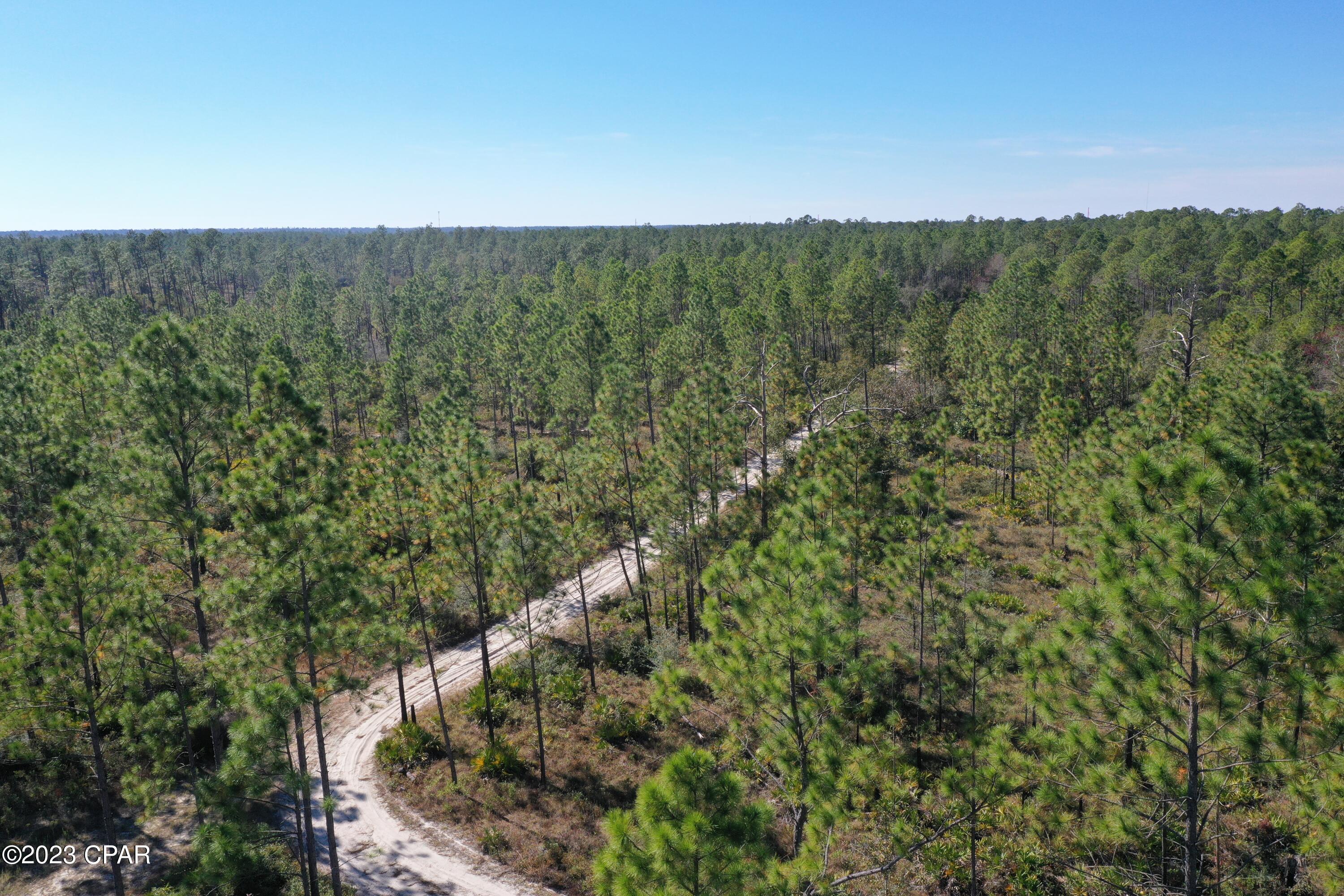 Image 4 For 19732 Timbercrest Road