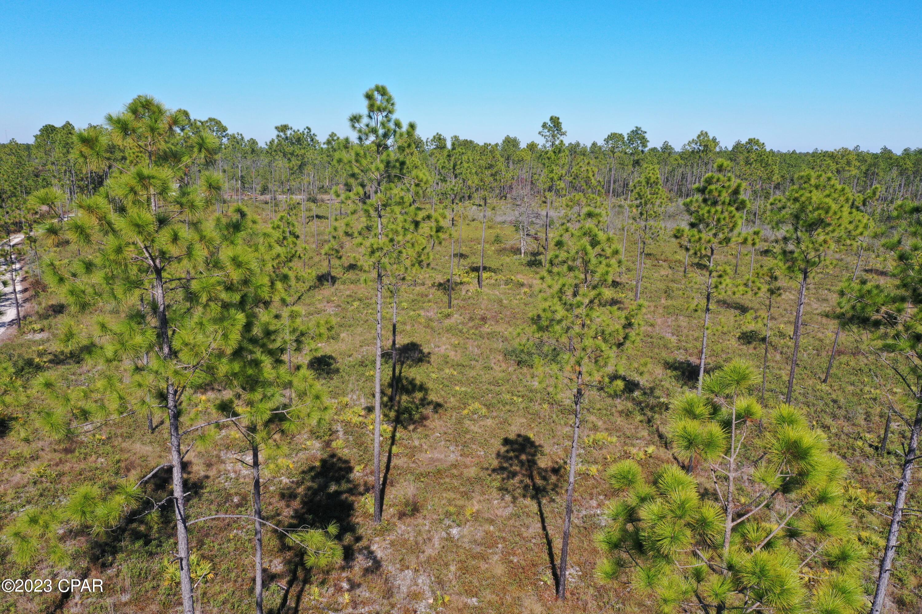Image 42 For 19732 Timbercrest Road
