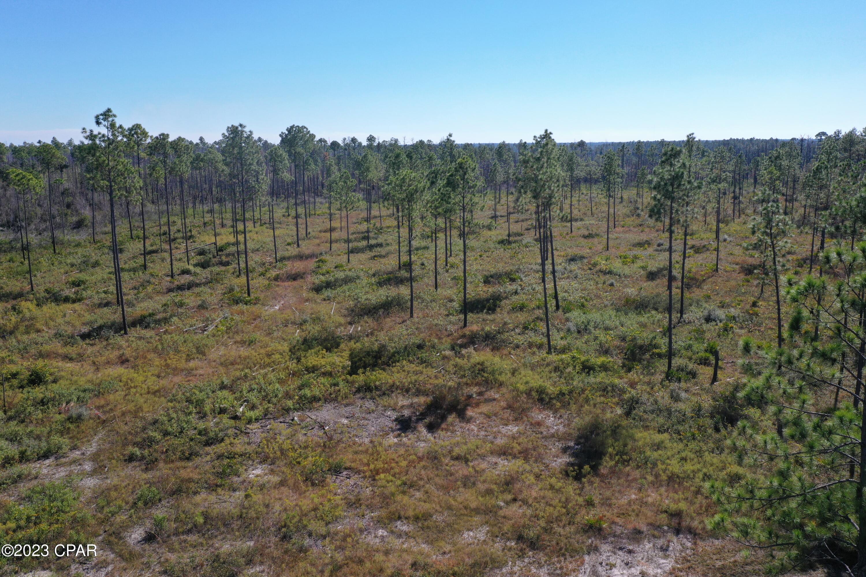 Image 43 For 19732 Timbercrest Road