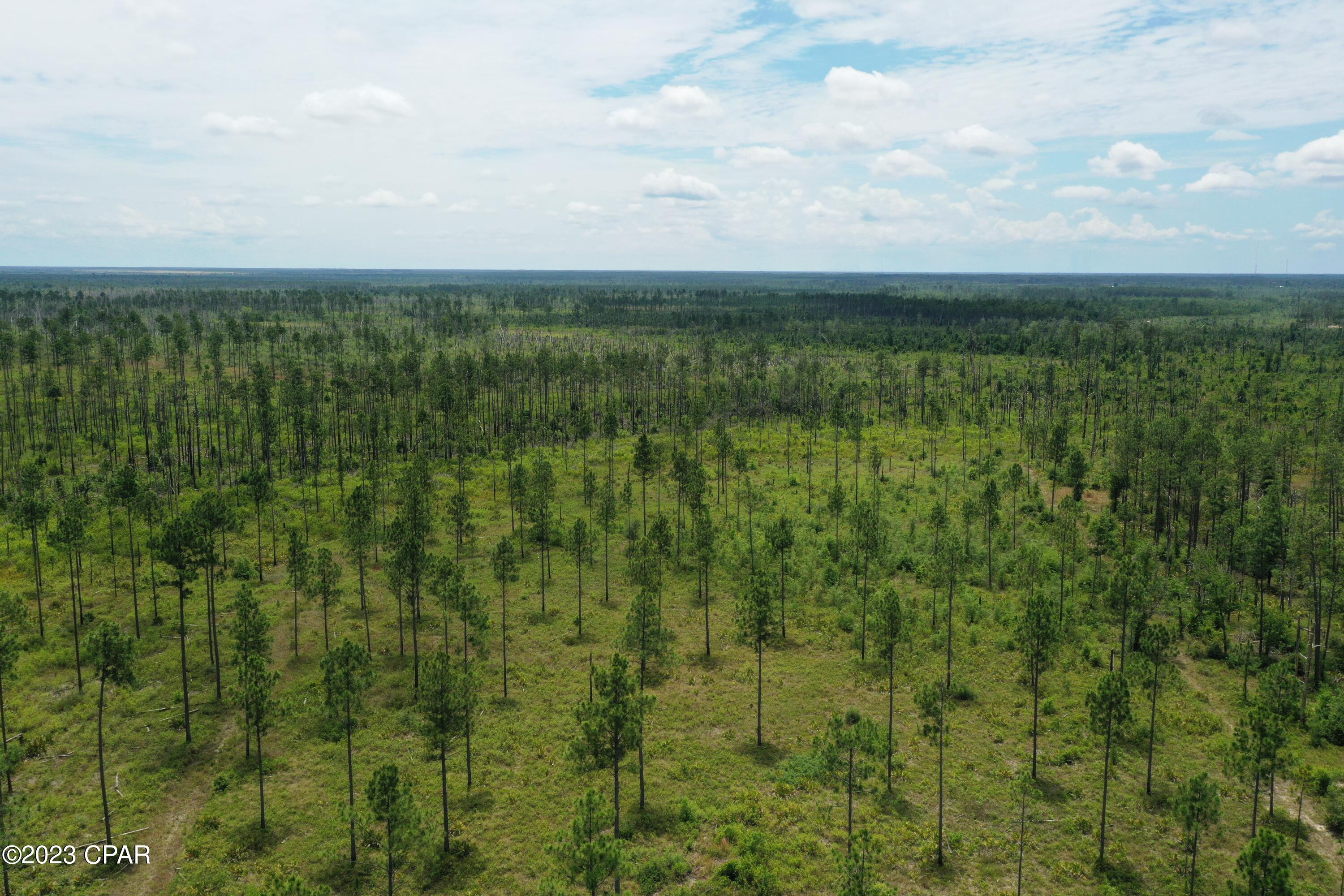 Image 48 For 19732 Timbercrest Road