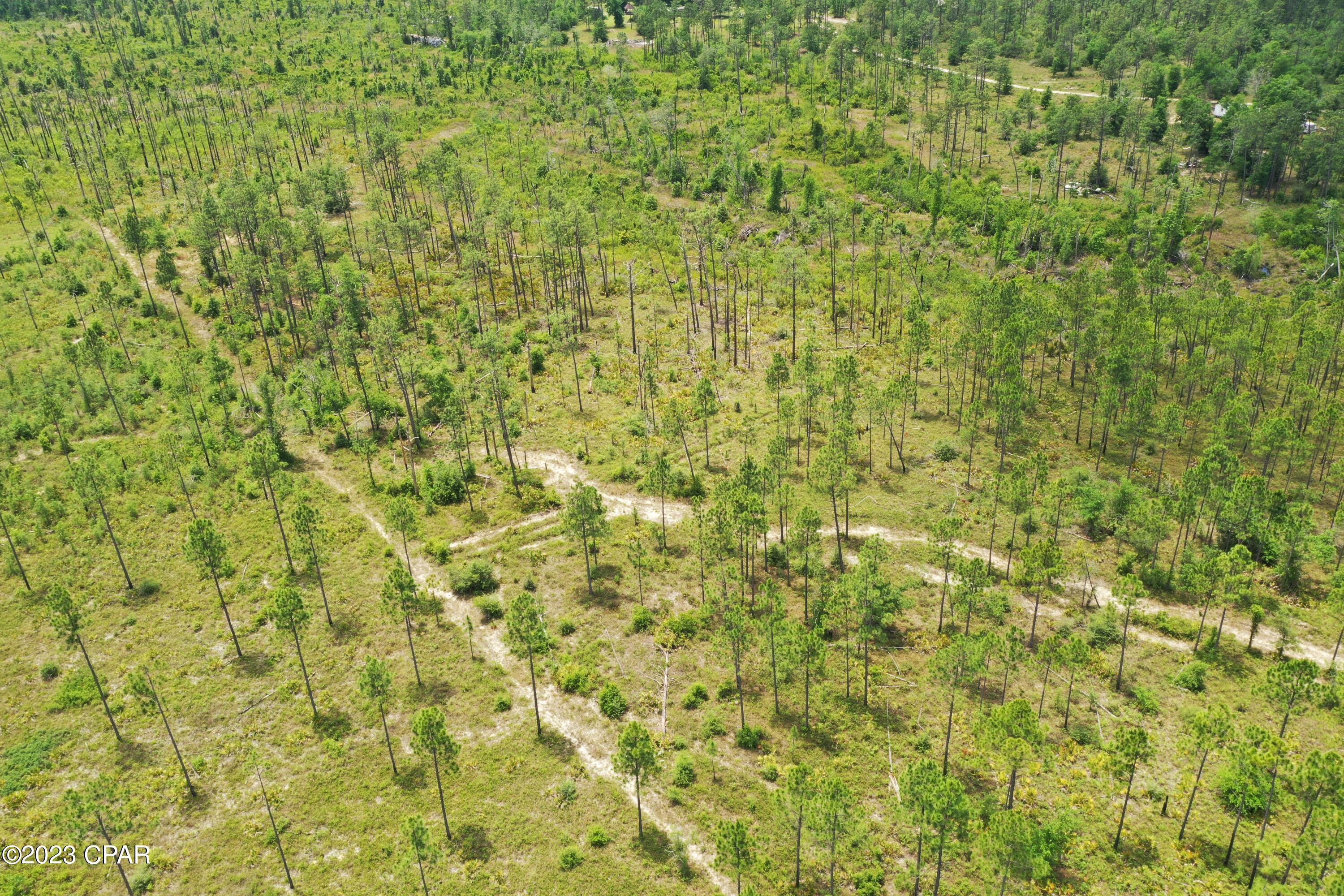 Image 49 For 19732 Timbercrest Road