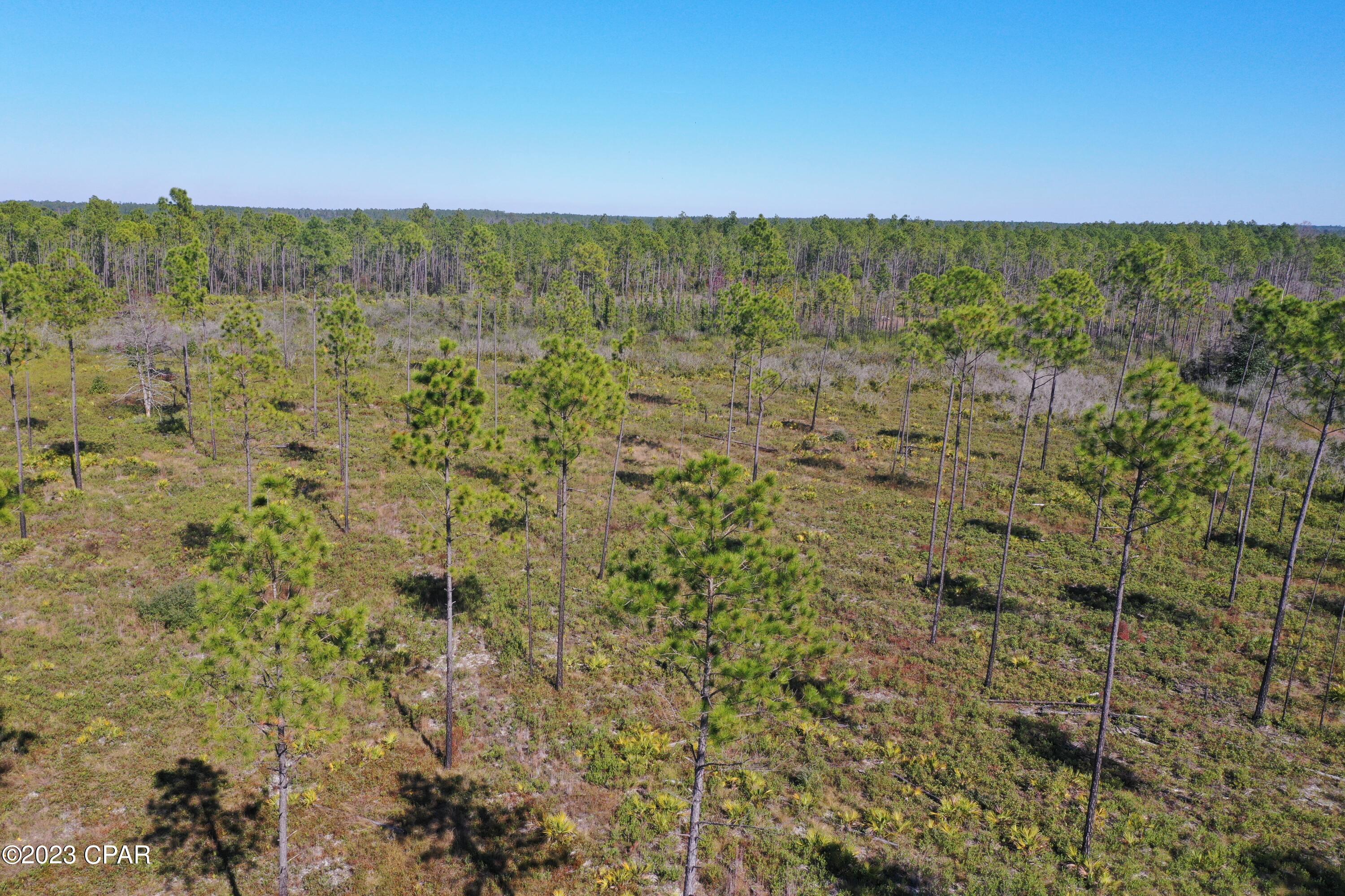 Image 5 For 19732 Timbercrest Road