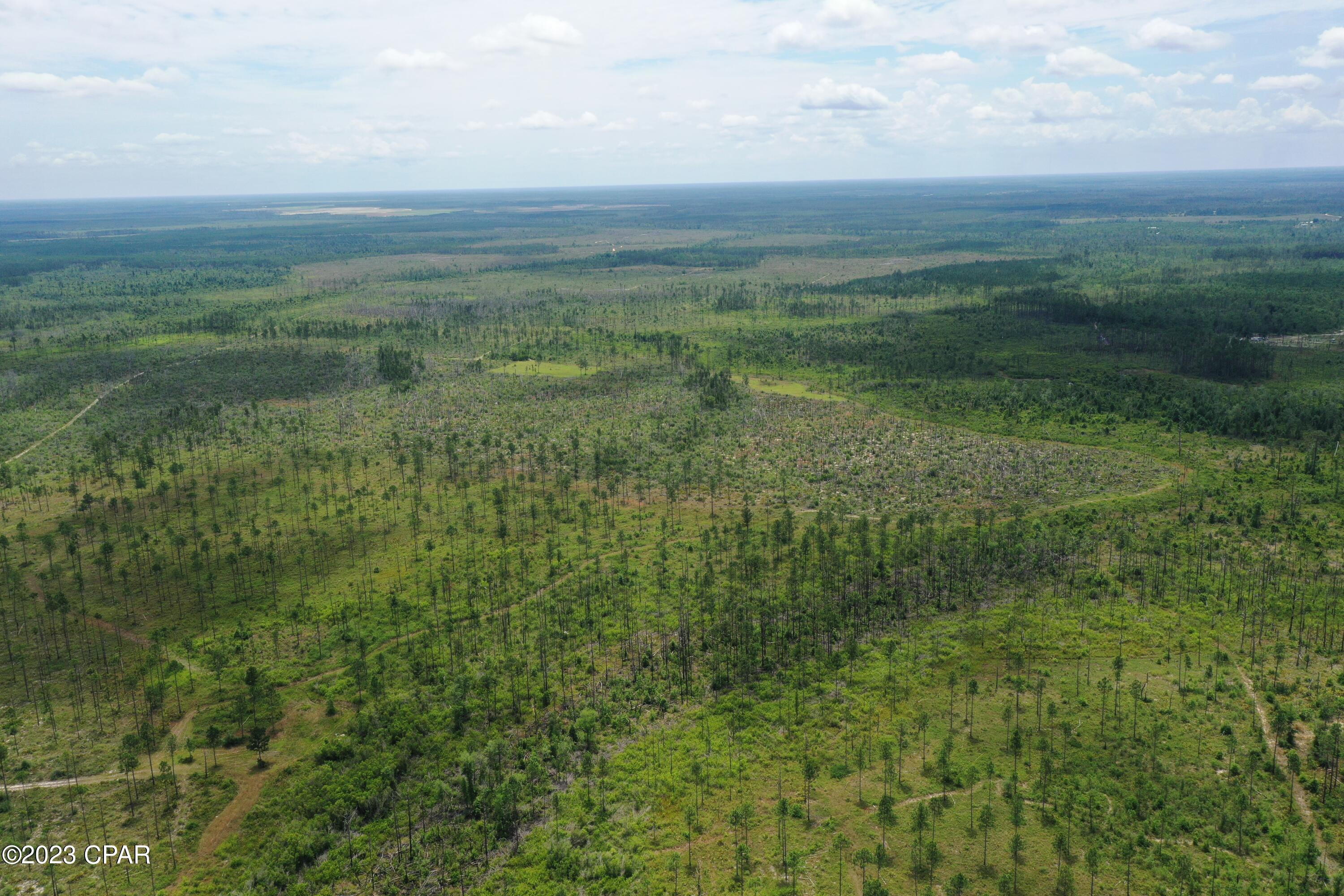 Image 51 For 19732 Timbercrest Road