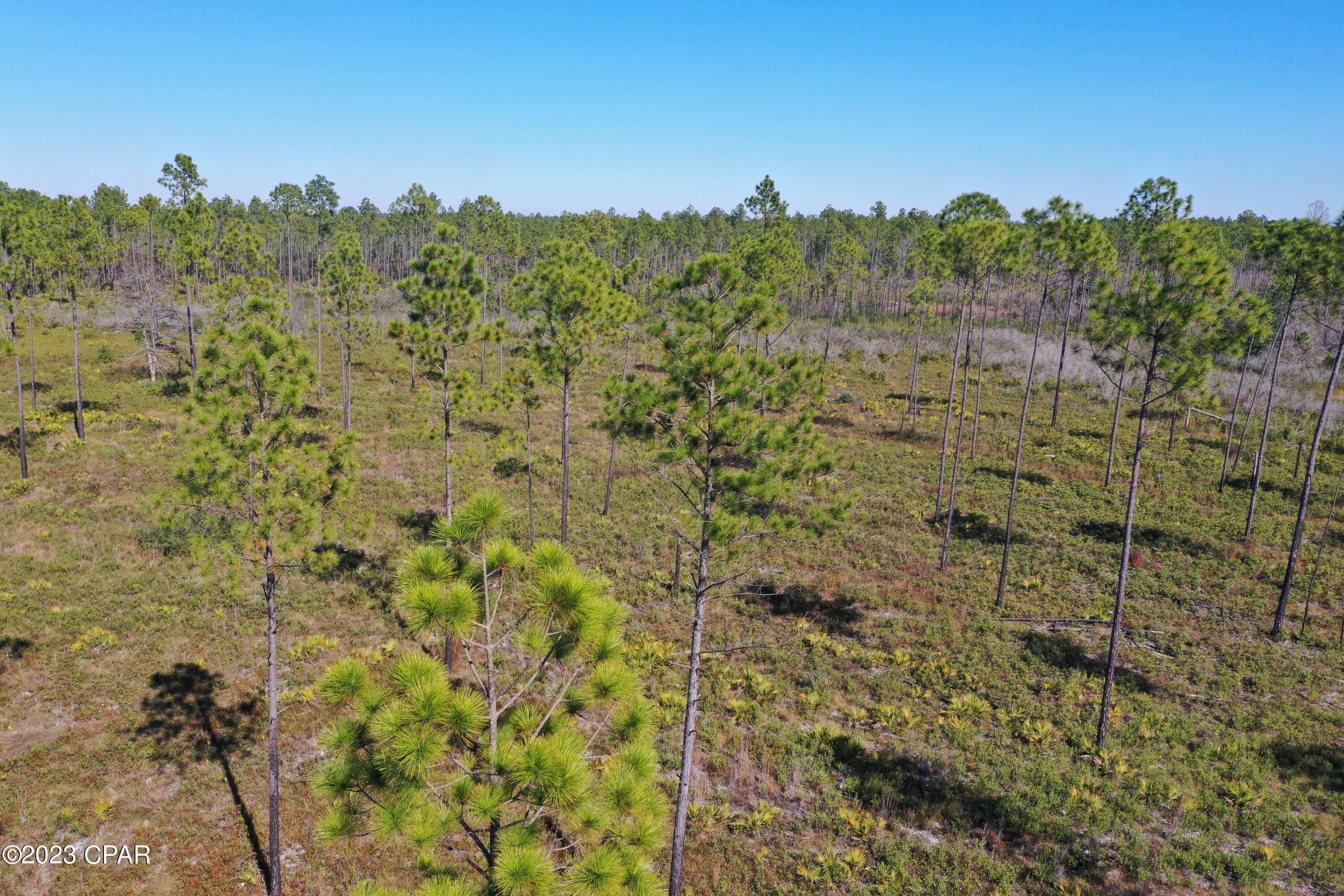 Image 6 For 19732 Timbercrest Road