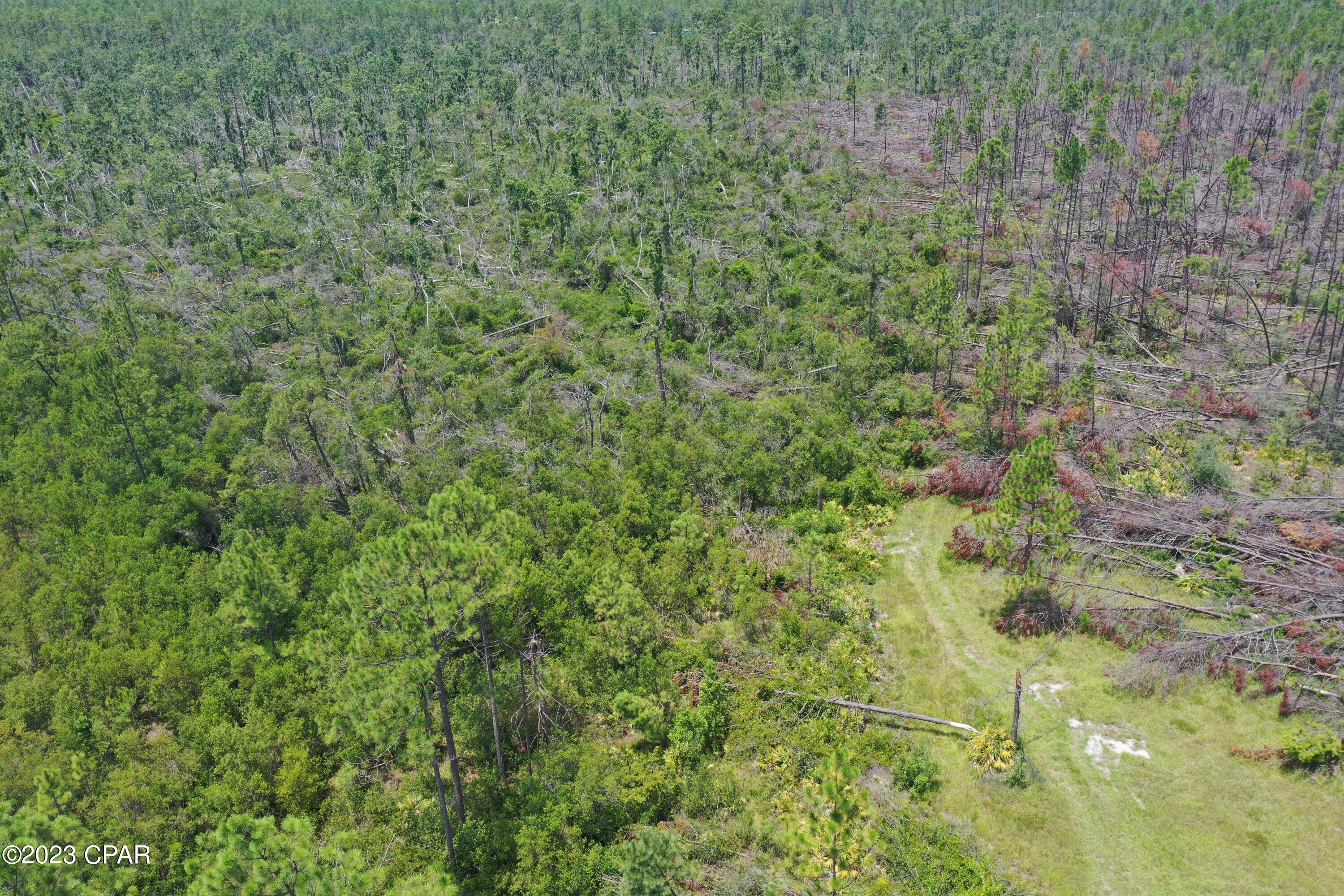 Image 9 For 19732 Timbercrest Road