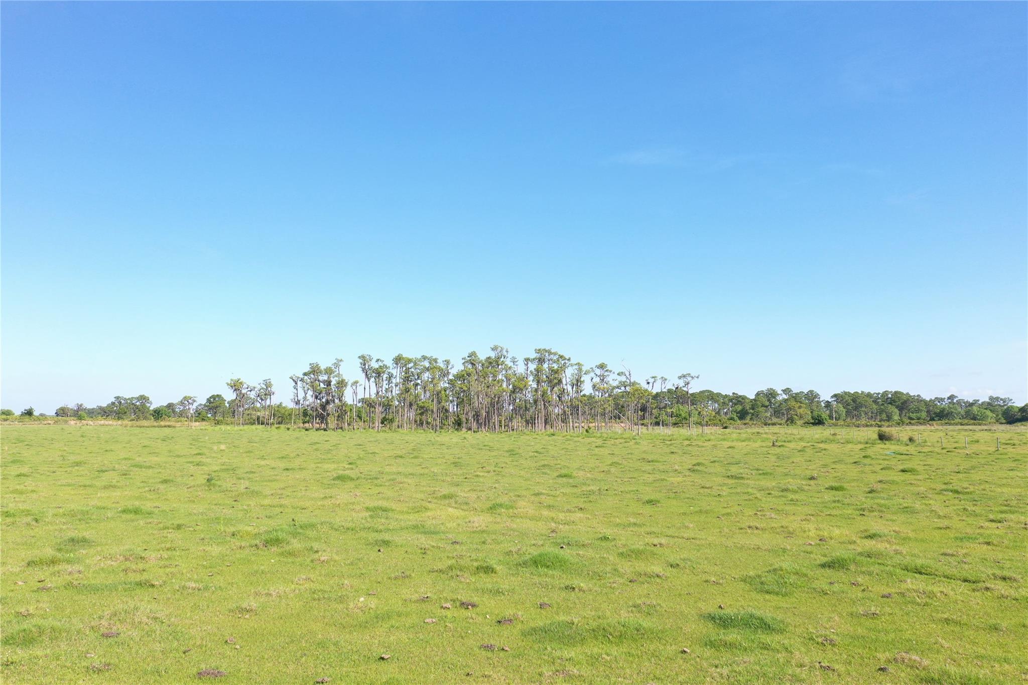 Homes for sale in Venus, FL | 170 Angus Rd, Venus, FL 33960 | MLS# F10519818