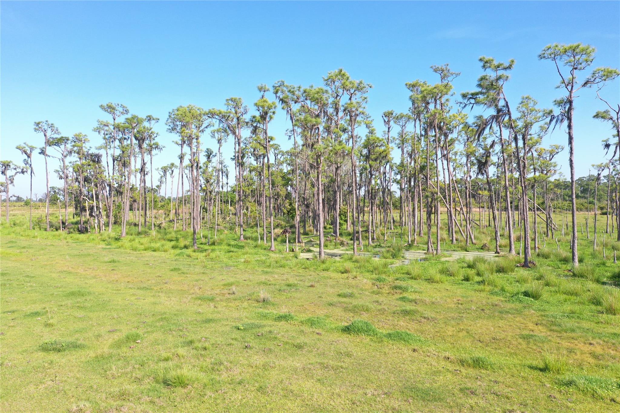 Homes for sale in Venus, FL | 170 Angus Rd, Venus, FL 33960 | MLS# F10519818