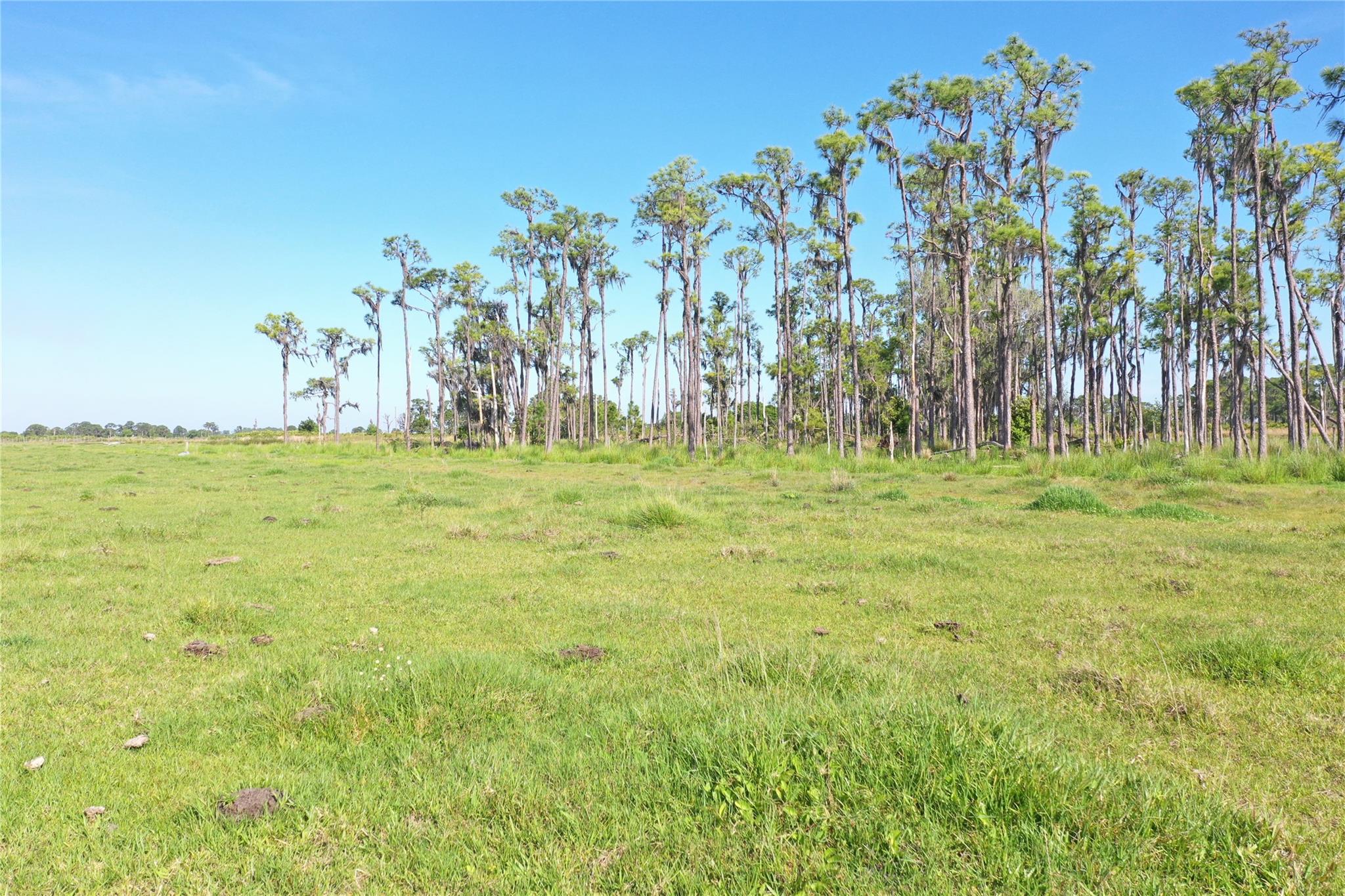 Homes for sale in Venus, FL | 170 Angus Rd, Venus, FL 33960 | MLS# F10519818